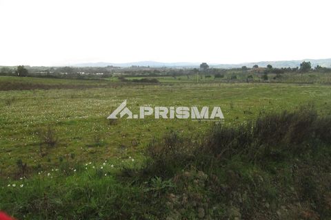 Helårsgrund i Castelo Branco, Castelo Branco, Castelo Branco - € 25.000 | Ref: PP4533 - foto 36