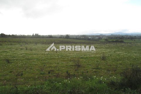 Helårsgrund i Castelo Branco, Castelo Branco, Castelo Branco - € 25.000 | Ref: PP4533 - foto 37