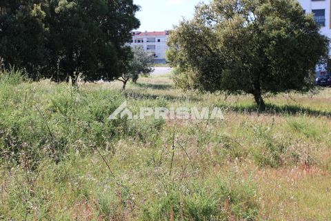 Helårsgrund i Castelo Branco, Castelo Branco, Castelo Branco - € 28.900 | Ref: PP4369 - foto 3