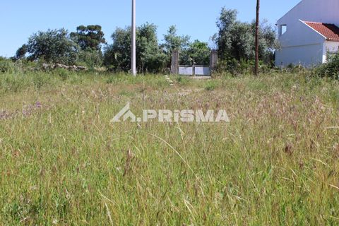 Helårsgrund i Castelo Branco, Castelo Branco, Castelo Branco - € 28.900 | Ref: PP4369 - foto 4