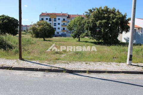 Helårsgrund i Castelo Branco, Castelo Branco, Castelo Branco - € 28.900 | Ref: PP4369 - foto 5