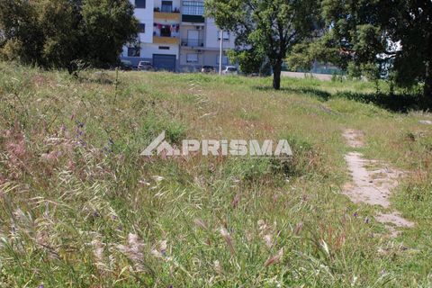 Helårsgrund i Castelo Branco, Castelo Branco, Castelo Branco - € 28.900 | Ref: PP4369 - foto 6