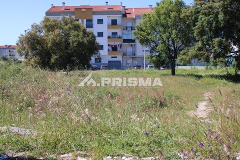 Helårsgrund i Castelo Branco, Castelo Branco, Castelo Branco - € 28.900 | Ref: PP4369 - foto 7