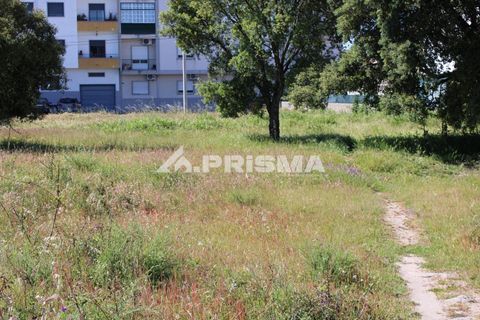 Helårsgrund i Castelo Branco, Castelo Branco, Castelo Branco - € 28.900 | Ref: PP4369 - foto 8