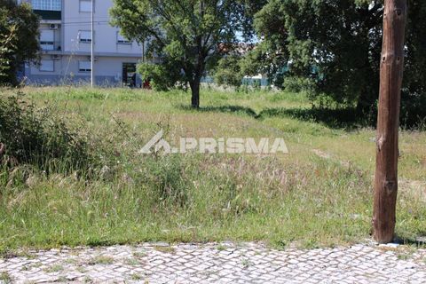 Helårsgrund i Castelo Branco, Castelo Branco, Castelo Branco - € 28.900 | Ref: PP4369 - foto 9