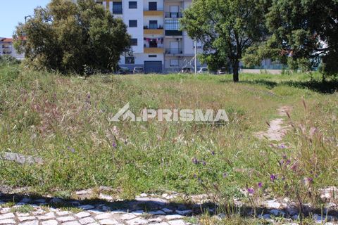 Helårsgrund i Castelo Branco, Castelo Branco, Castelo Branco - € 28.900 | Ref: PP4369 - foto 10