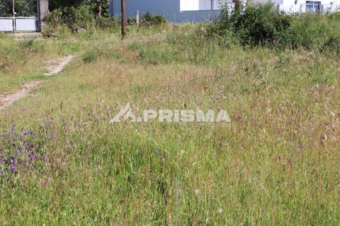 Helårsgrund i Castelo Branco, Castelo Branco, Castelo Branco - € 28.900 | Ref: PP4369 - foto 11
