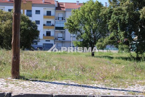 Helårsgrund i Castelo Branco, Castelo Branco, Castelo Branco - € 28.900 | Ref: PP4369 - foto 13