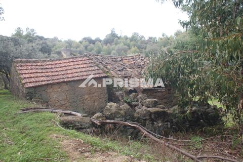 Terra a Penamacor, Castelo Branco, Penamacor - € 35.000 | Ref: PP4491 - foto 3
