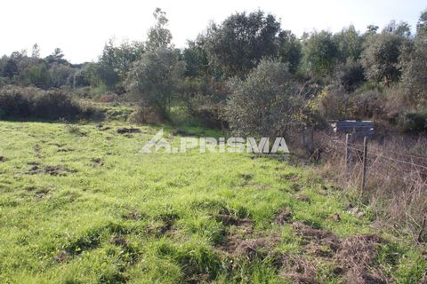 Terra a Penamacor, Castelo Branco, Penamacor - € 35.000 | Ref: PP4491 - foto 10