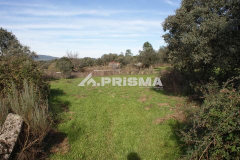 Terra a Penamacor, Castelo Branco, Penamacor - € 35.000 | Ref: PP4491 - foto 13