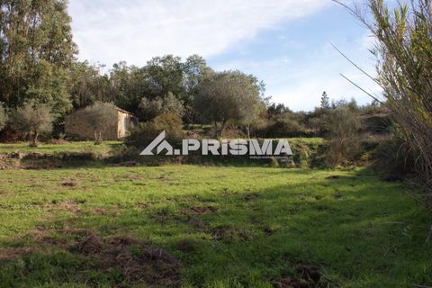 Terra a Penamacor, Castelo Branco, Penamacor - € 35.000 | Ref: PP4491 - foto 15