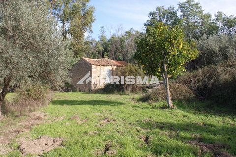Terra a Penamacor, Castelo Branco, Penamacor - € 35.000 | Ref: PP4491 - foto 16