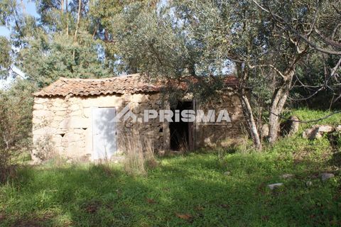 Terra a Penamacor, Castelo Branco, Penamacor - € 35.000 | Ref: PP4491 - foto 20