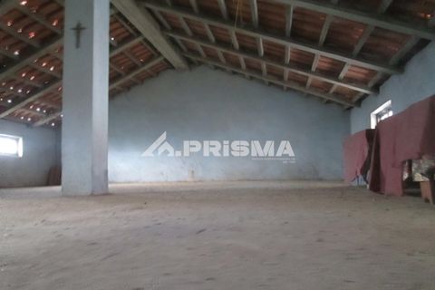 Byhus i Idanha-a-Nova, Castelo Branco, Idanha-a-Nova - € 65.000 | Ref: PP4435 - foto 8