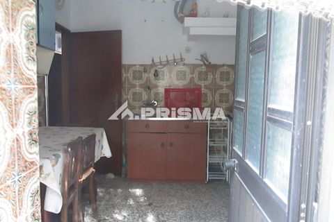 Byhus i Idanha-a-Nova, Castelo Branco, Idanha-a-Nova - € 65.000 | Ref: PP4435 - foto 20