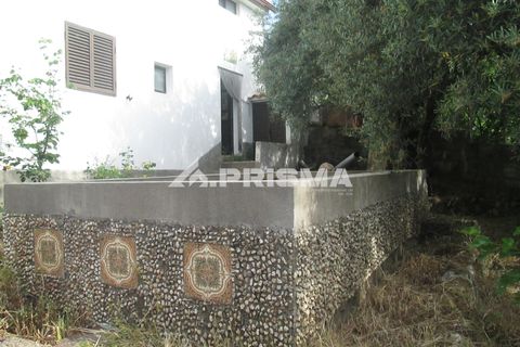 Byhus i Idanha-a-Nova, Castelo Branco, Idanha-a-Nova - € 65.000 | Ref: PP4435 - foto 22