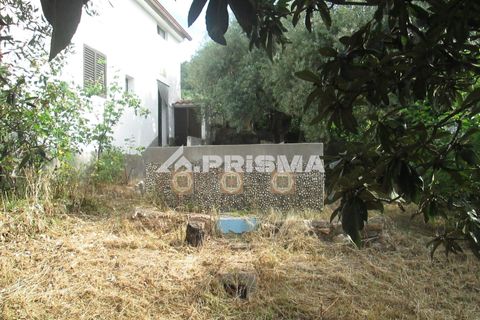 Byhus i Idanha-a-Nova, Castelo Branco, Idanha-a-Nova - € 65.000 | Ref: PP4435 - foto 23