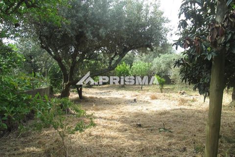 Byhus i Idanha-a-Nova, Castelo Branco, Idanha-a-Nova - € 65.000 | Ref: PP4435 - foto 24