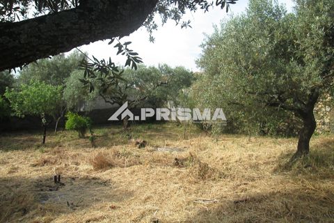 Byhus i Idanha-a-Nova, Castelo Branco, Idanha-a-Nova - € 65.000 | Ref: PP4435 - foto 25