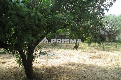 Byhus i Idanha-a-Nova, Castelo Branco, Idanha-a-Nova - € 65.000 | Ref: PP4435 - foto 26