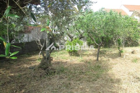 Byhus i Idanha-a-Nova, Castelo Branco, Idanha-a-Nova - € 65.000 | Ref: PP4435 - foto 27