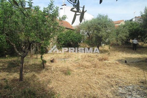 Byhus i Idanha-a-Nova, Castelo Branco, Idanha-a-Nova - € 65.000 | Ref: PP4435 - foto 28