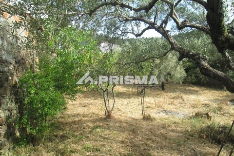 Byhus i Idanha-a-Nova, Castelo Branco, Idanha-a-Nova - € 65.000 | Ref: PP4435 - foto 30