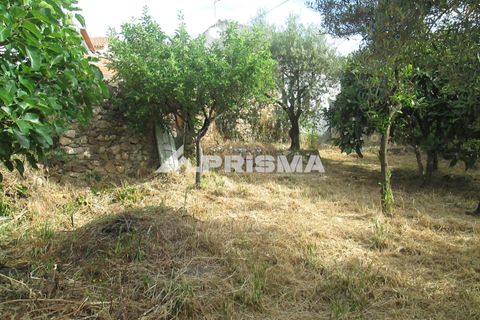 Byhus i Idanha-a-Nova, Castelo Branco, Idanha-a-Nova - € 65.000 | Ref: PP4435 - foto 31