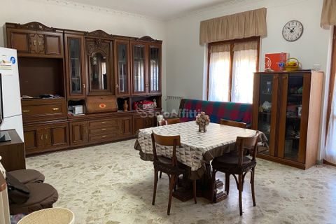 Estudi a Caserta, Caserta, Caserta - € 250/mes | Ref: SF23 - foto 5