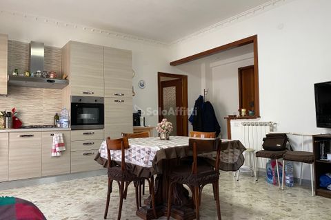 Estudi a Caserta, Caserta, Caserta - € 250/mes | Ref: SF23 - foto 7