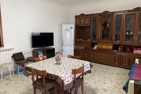 Estudi a Caserta, Caserta, Caserta - € 250/mes | Ref: SF23 - foto 8