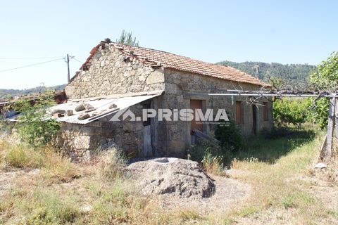 Helårsgrund i Fundao, Castelo Branco, Fundao - € 53.000 | Ref: PP4402 - foto 1