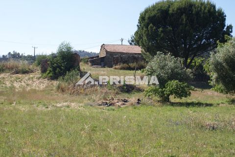Helårsgrund i Fundao, Castelo Branco, Fundao - € 53.000 | Ref: PP4402 - foto 2