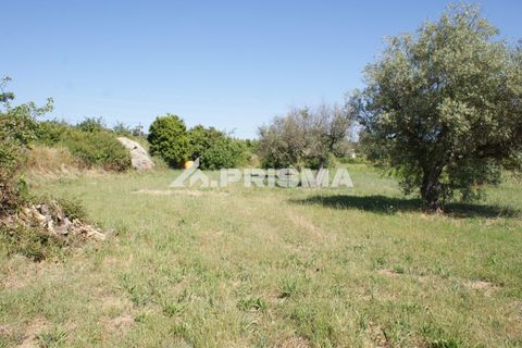 Helårsgrund i Fundao, Castelo Branco, Fundao - € 53.000 | Ref: PP4402 - foto 3