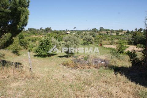 Helårsgrund i Fundao, Castelo Branco, Fundao - € 53.000 | Ref: PP4402 - foto 4