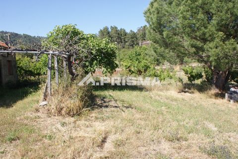Helårsgrund i Fundao, Castelo Branco, Fundao - € 53.000 | Ref: PP4402 - foto 5