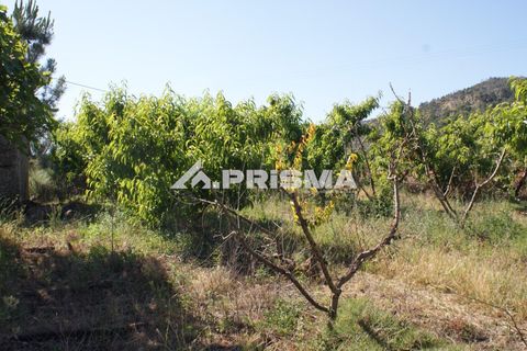 Helårsgrund i Fundao, Castelo Branco, Fundao - € 53.000 | Ref: PP4402 - foto 8