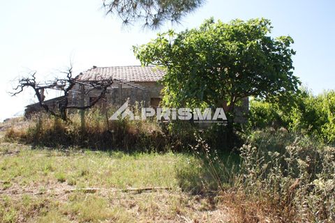 Helårsgrund i Fundao, Castelo Branco, Fundao - € 53.000 | Ref: PP4402 - foto 9