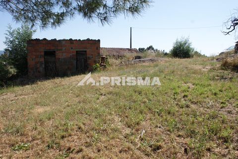 Helårsgrund i Fundao, Castelo Branco, Fundao - € 53.000 | Ref: PP4402 - foto 10
