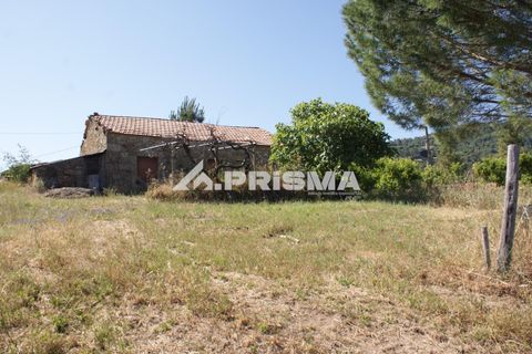 Helårsgrund i Fundao, Castelo Branco, Fundao - € 53.000 | Ref: PP4402 - foto 11