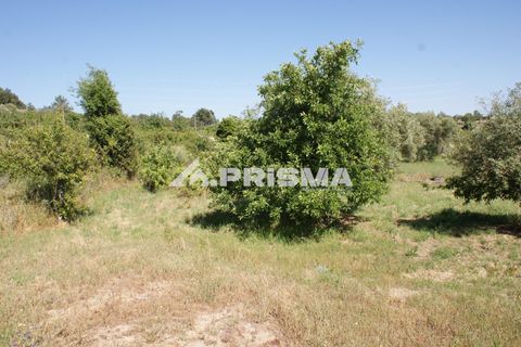 Helårsgrund i Fundao, Castelo Branco, Fundao - € 53.000 | Ref: PP4402 - foto 12