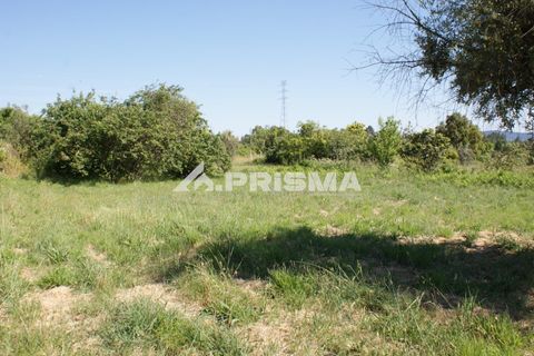 Helårsgrund i Fundao, Castelo Branco, Fundao - € 53.000 | Ref: PP4402 - foto 13