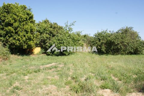 Helårsgrund i Fundao, Castelo Branco, Fundao - € 53.000 | Ref: PP4402 - foto 14