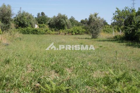 Helårsgrund i Fundao, Castelo Branco, Fundao - € 53.000 | Ref: PP4402 - foto 16