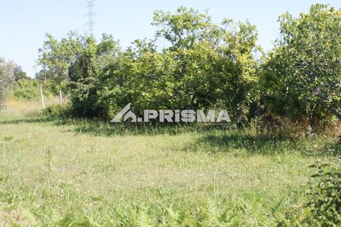 Helårsgrund i Fundao, Castelo Branco, Fundao - € 53.000 | Ref: PP4402 - foto 17