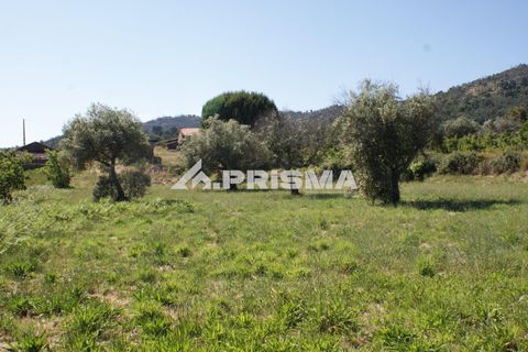 Helårsgrund i Fundao, Castelo Branco, Fundao - € 53.000 | Ref: PP4402 - foto 18