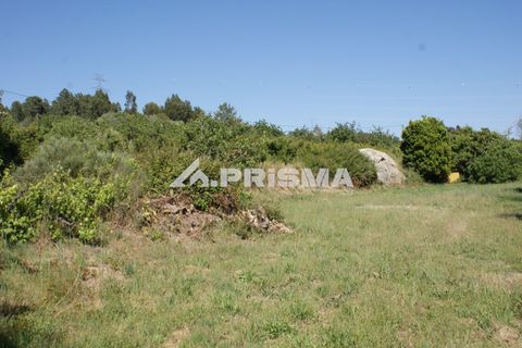 Helårsgrund i Fundao, Castelo Branco, Fundao - € 53.000 | Ref: PP4402 - foto 19