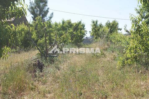Helårsgrund i Fundao, Castelo Branco, Fundao - € 53.000 | Ref: PP4402 - foto 20