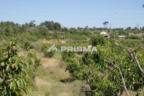 Helårsgrund i Fundao, Castelo Branco, Fundao - € 53.000 | Ref: PP4402 - foto 22